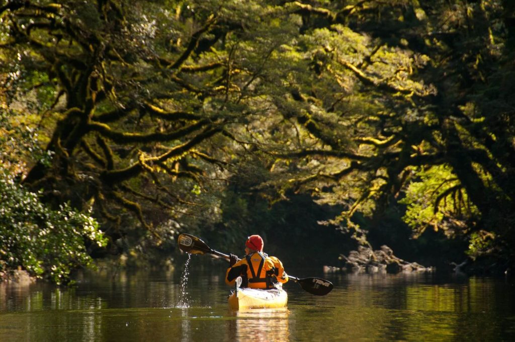 Sally Birchall in kayak on West Coast river with native bush in background